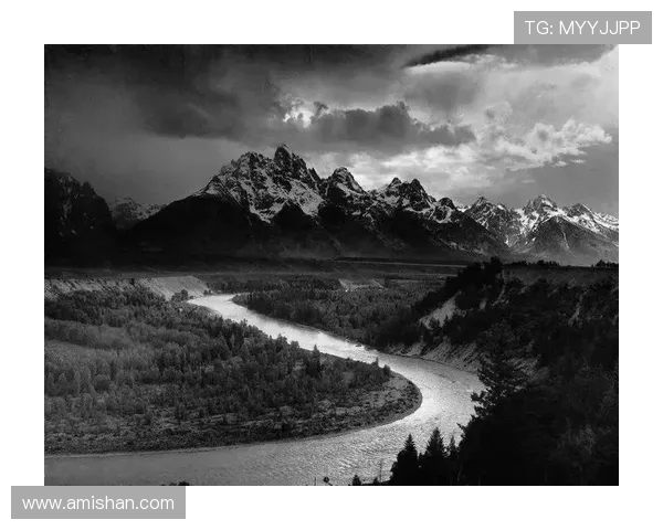 亚当斯的传奇人生与科学探索之旅：从理论到实践的辉煌历程