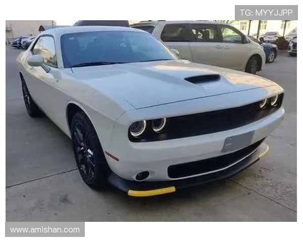 光芒与道奇G4的全面对比分析谁才是更值得拥有的汽车之选