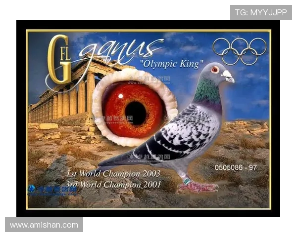 古比斯与埃尔维斯的巅峰对决谁将成为传奇之王